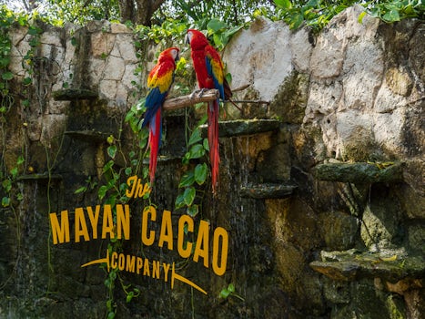Mayan Cacao store