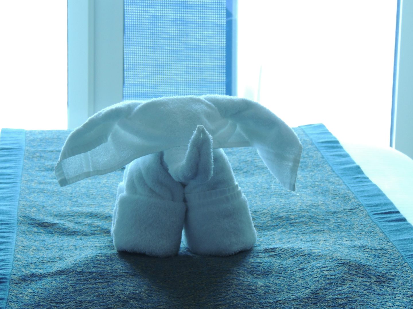 Towel animal in our cabin