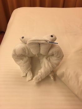 Loved our towel animals every day they changed