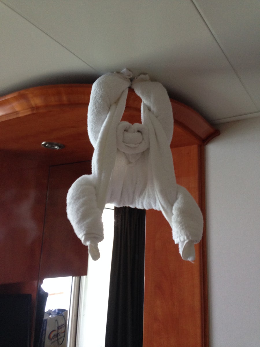 The pic loaded sideways.  It is a towel monkey hanging from the ceiling.