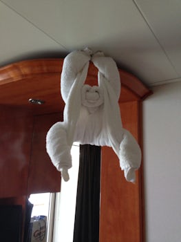 The pic loaded sideways.  It is a towel monkey hanging from the ceiling.