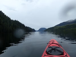 typical Alaska scenery viewed from a kayak