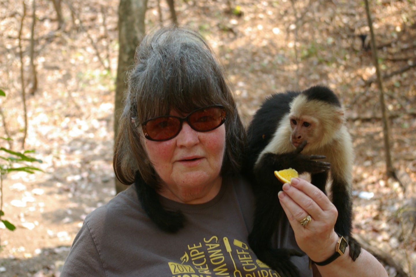 White-face monkeys in Costa Rica.