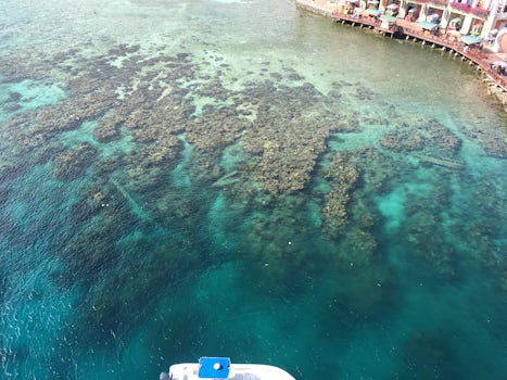 This is our balcony view in Roatan! Having a Port Side balcony on deck 9 was amazing! At every port we had the most amazing front row seating!