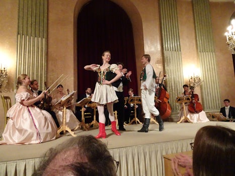 Vienna performance