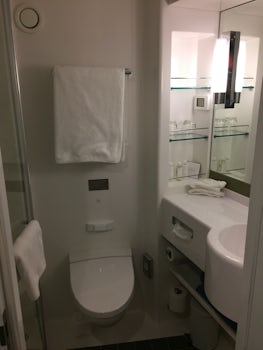 Shower and toilet area