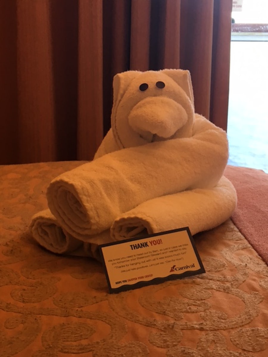 A different towel animal left every day!