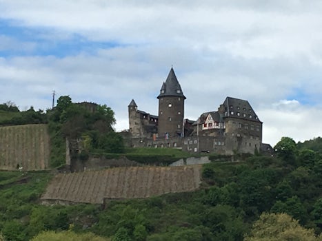 Castle on the Rhein