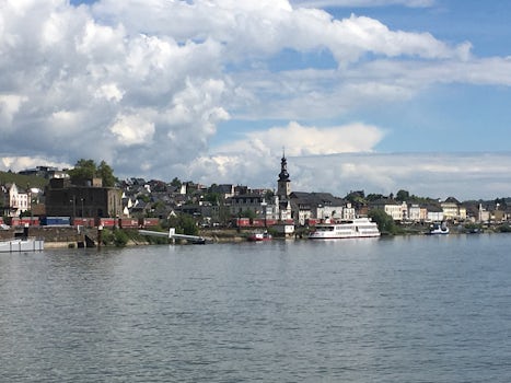 Shoreline on the Rhein