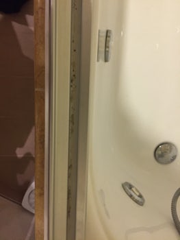 Mold in shower
