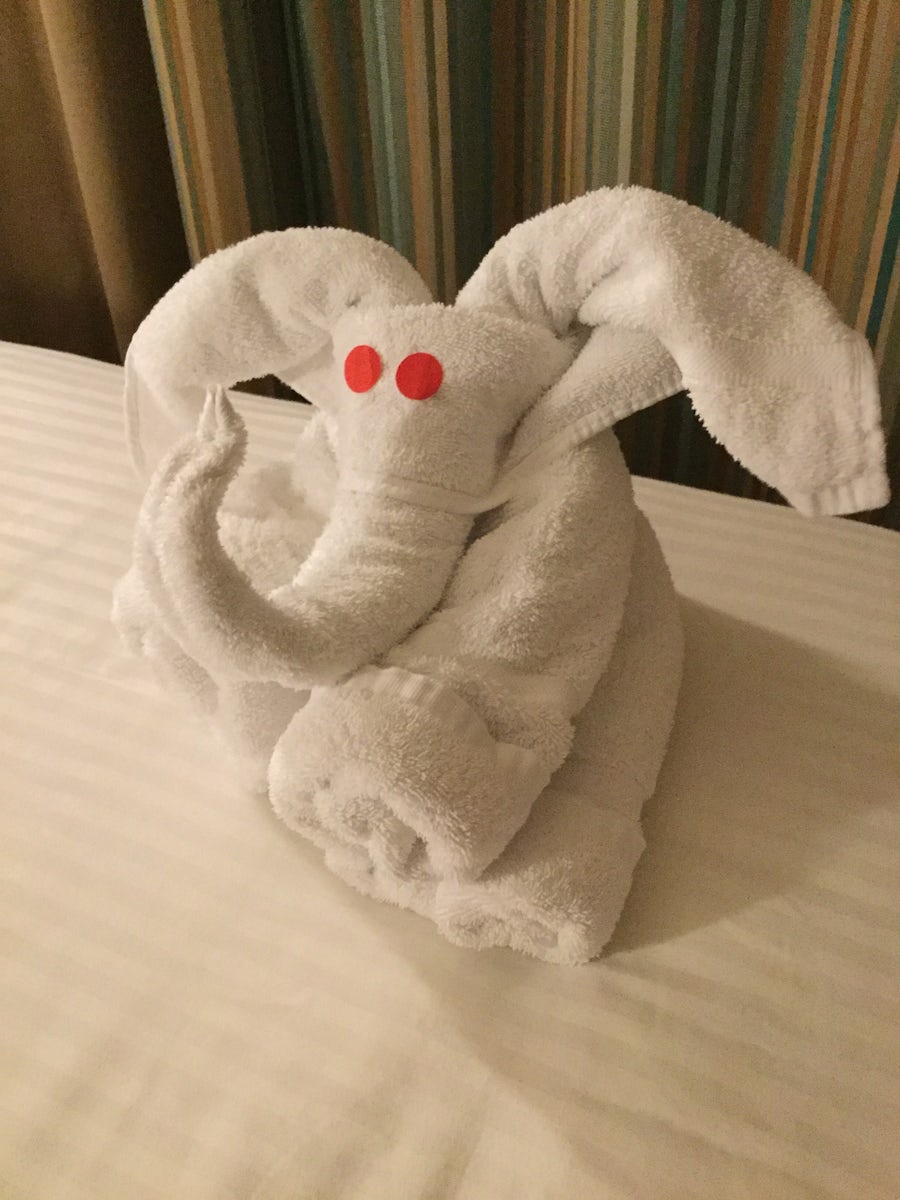 Towel Animal