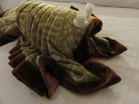 special towel animal