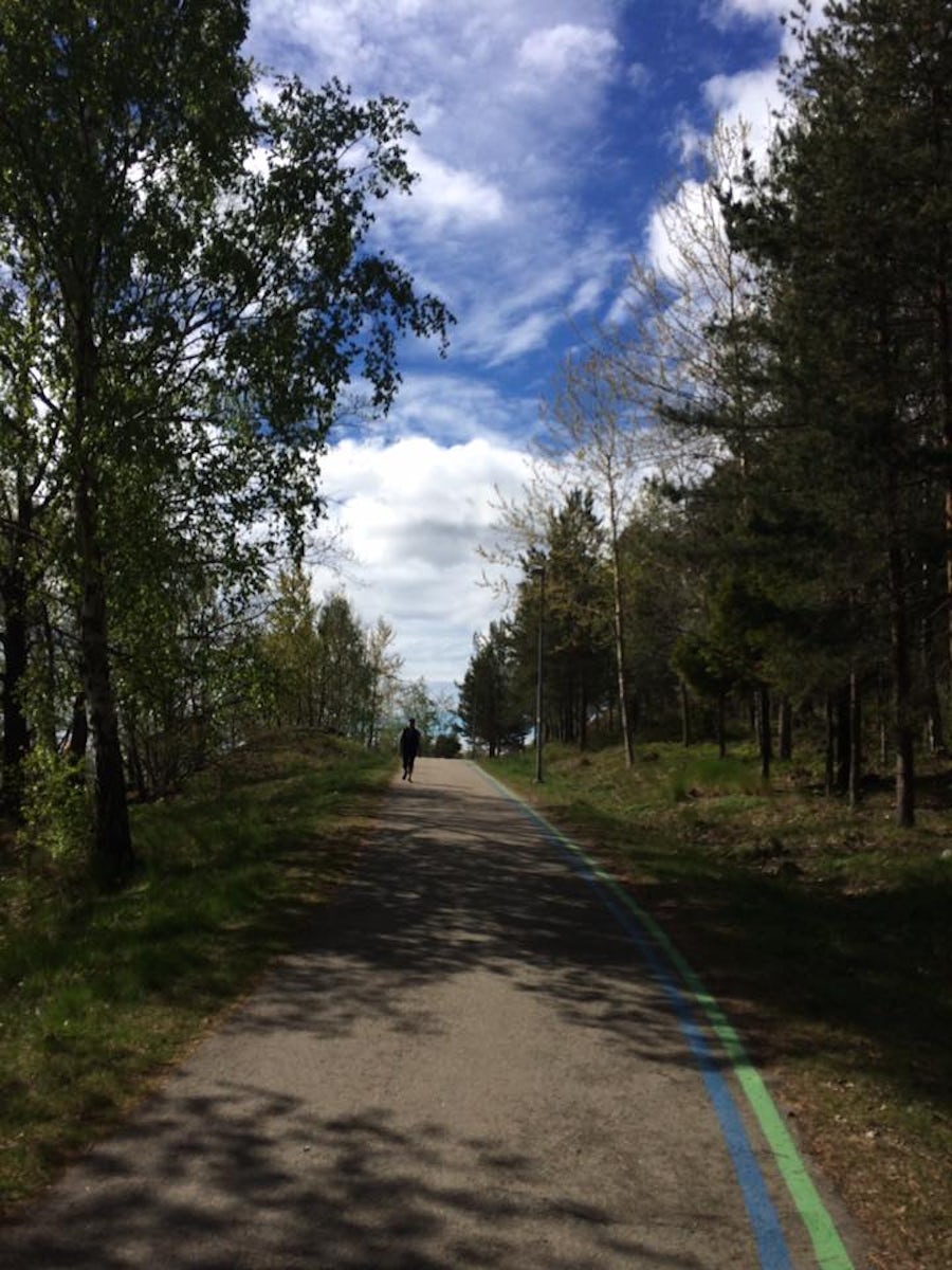 You can't get lost in Sweden if you follow the painted line.