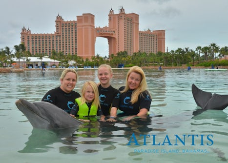 Atlantis Dolphin Excursion