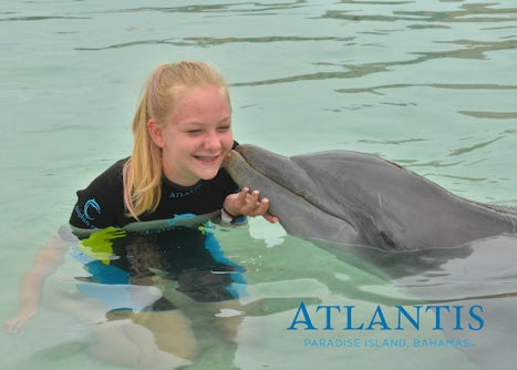 Atlantis Dolphin Excursion