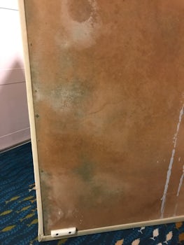 The bottom of the couch which shows mold growing