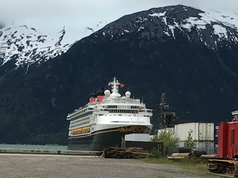 disney cruise to alaska reviews