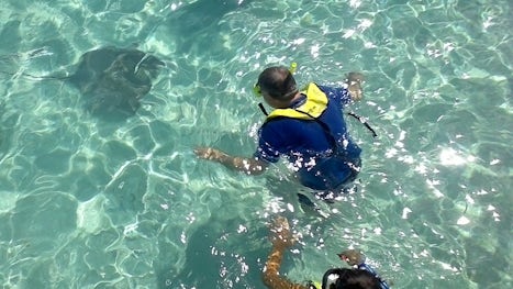 Petting stingrays and swimming with sharks in Bora Bora