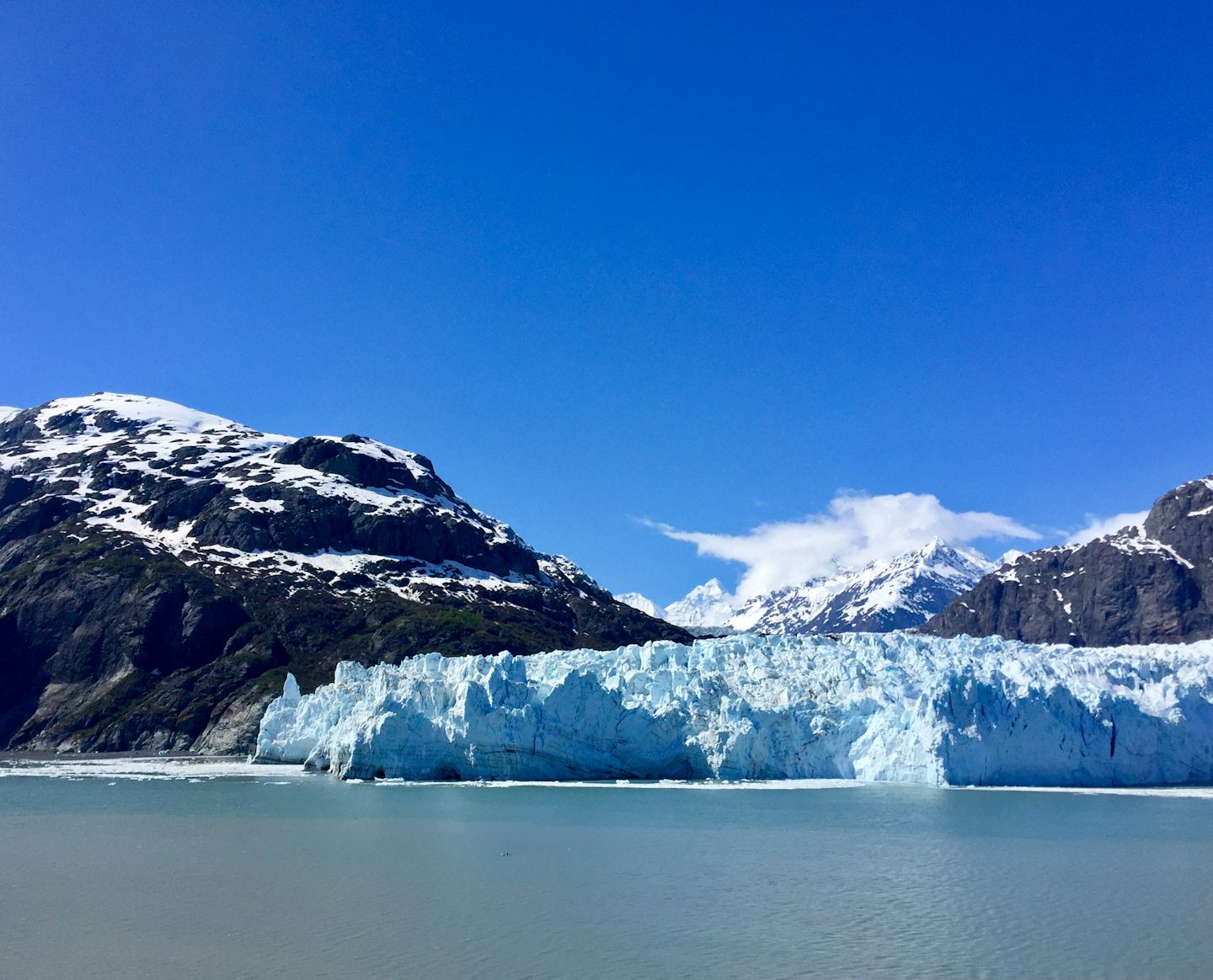 One of many glaciers seen in Glacier Bay-- from the cruise ship