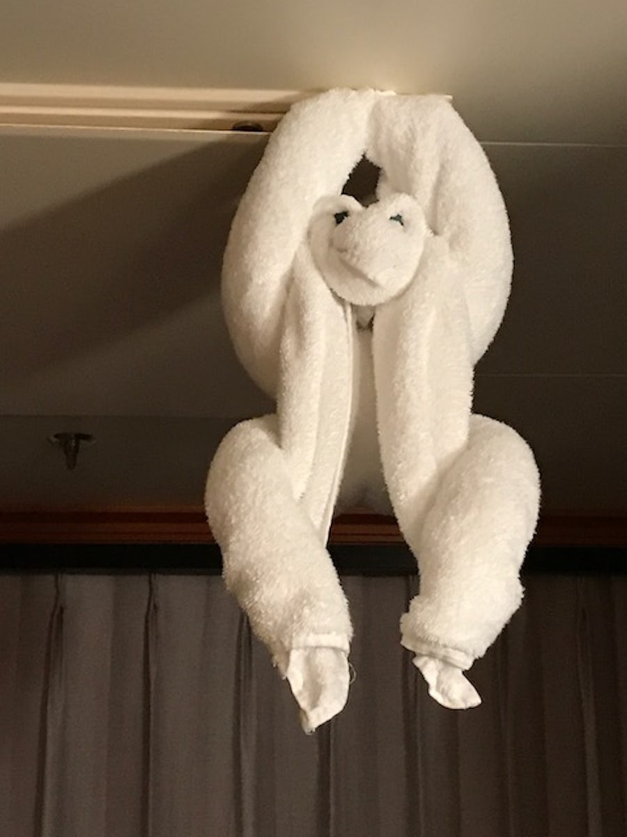 This guy (monkey) is sideways but was hanging from the ceiling of our cabin