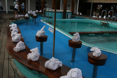 Pool was decorated with multiple towel animals.