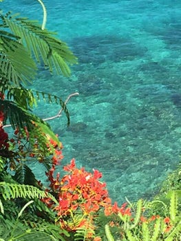Crystal clear water off Dominica
