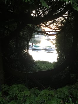View of the bay from Butchart Gardens.