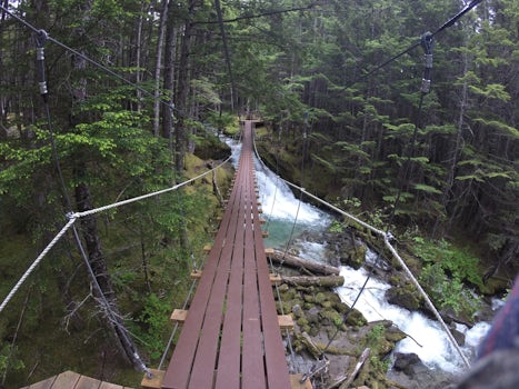 Suspended bridge while ZIplining in Alaskan rainforest!!!
