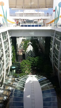 Central Park on Allure of the Seas