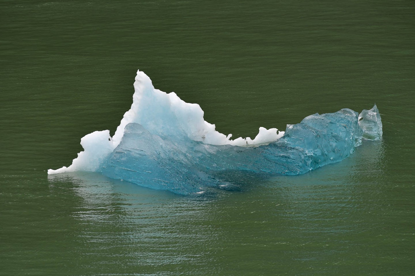 Floating blue ice near Sawyer Glacier