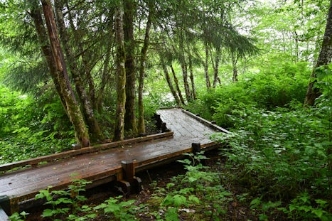 Nature trail excursion out of Sitka