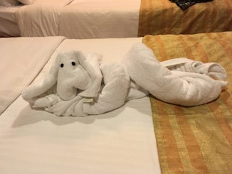 First Towel Animal of the cruise!