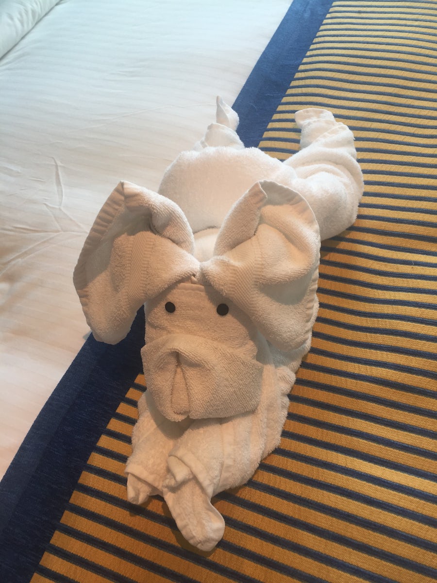 Towel animal in our room