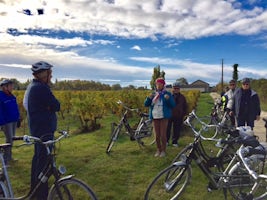 Biking through vineyards