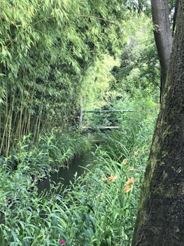 bridge over pond in Monet's gardens