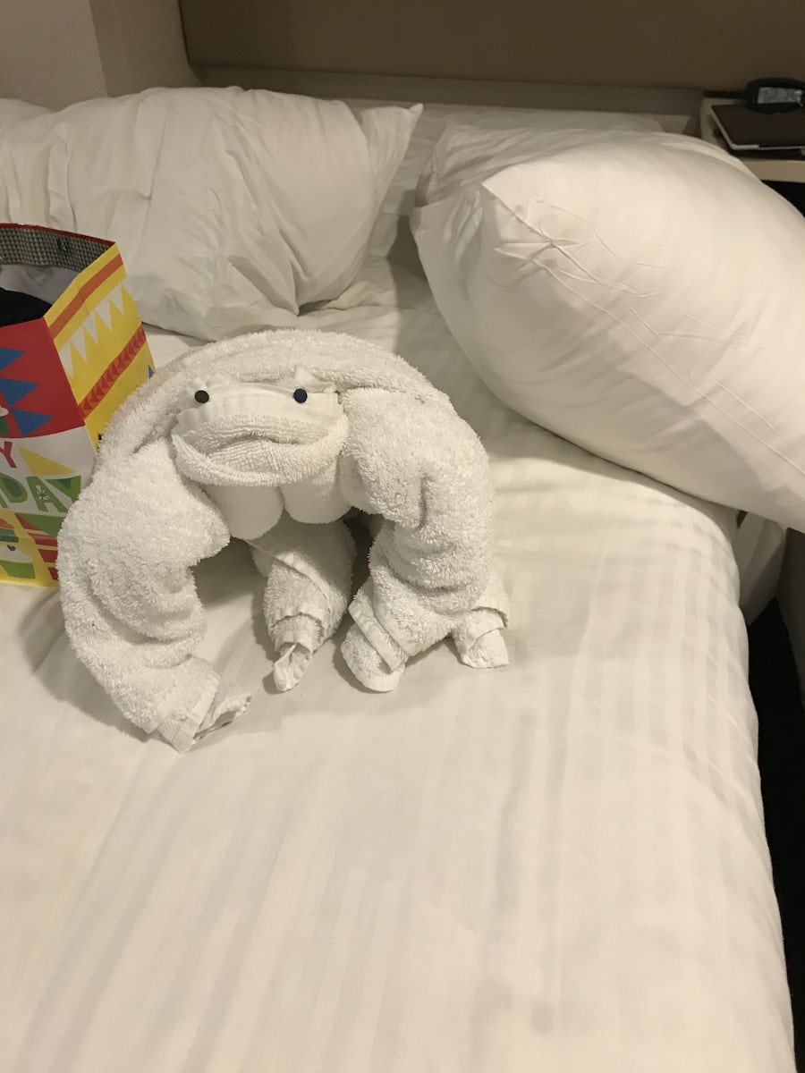 Towel animal