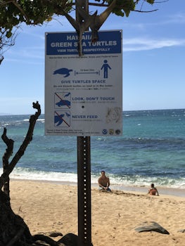 Beach in Maui