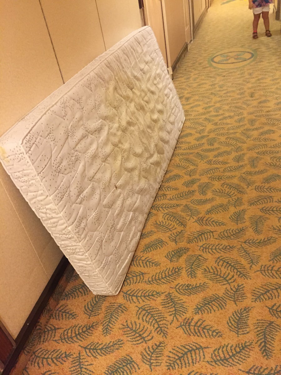Multiple days we walked by pee-stained mattresses just parked out in the hallways.