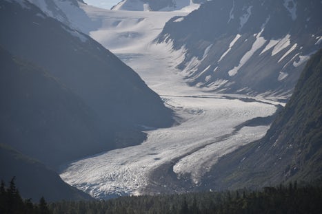 Scenic Train-View of Glacier Seward to Anchorage