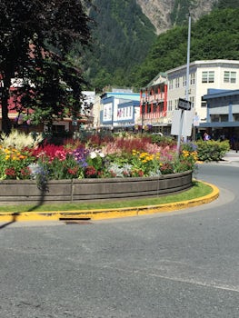 Streets of Junea, beautiful flower gardens