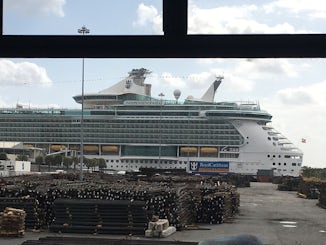 Arriving at the ship at Port Everglades, Ft.  Lauderdale, Florida