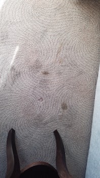 Carpet condition