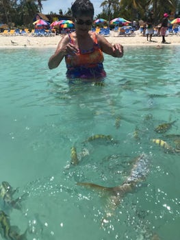 My mother surrounded by thousands of tropical fish on Coco Cay.