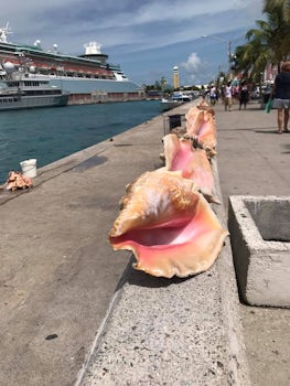 Love watching fishermen clean conch shells, remove the meant and sell the s