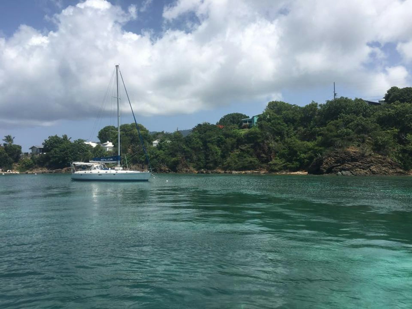 On St. Thomas, we took the fast cat out to see the sea turtles and other tr