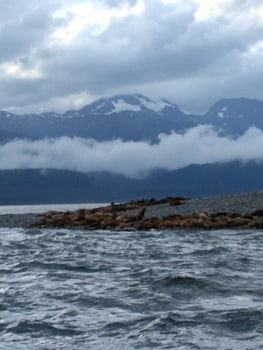 Whale and Glacier excursion. Beautiful.
