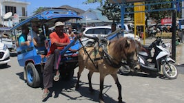 Lombok - what a dump of a port.  
$20 for donkey ride to 'market'