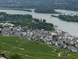 View of the Rhine