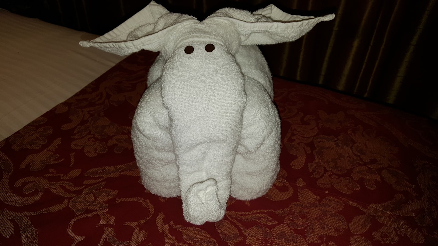 Towel art left by our room steward.