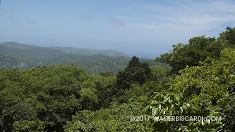 St. Lucia Rainforest Tram Experience.  Beautiful view from the highest poin